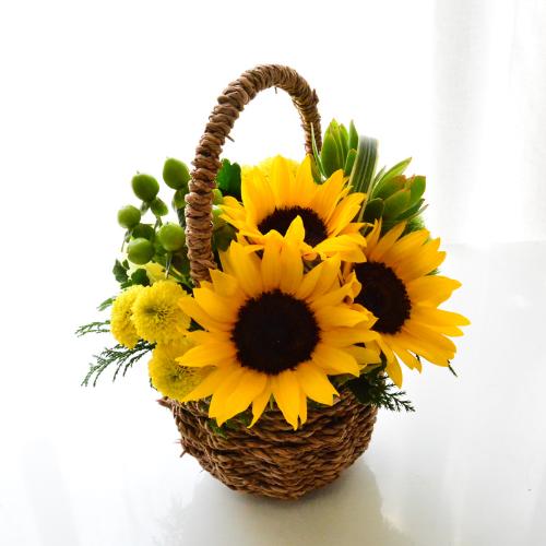 �q�}�����@�o�X�P�b�g�A�����W