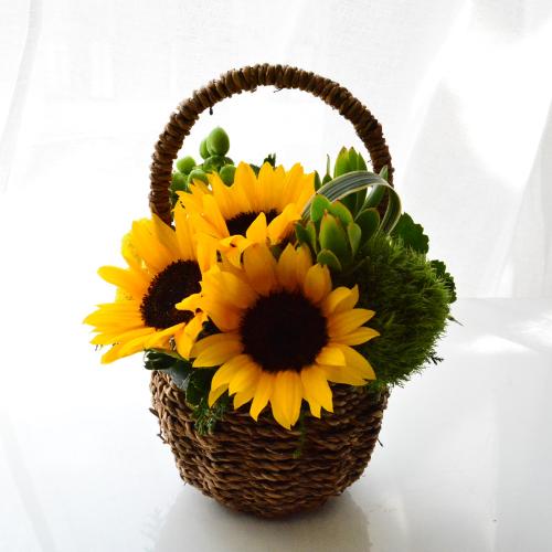 �q�}�����@�o�X�P�b�g�A�����W2