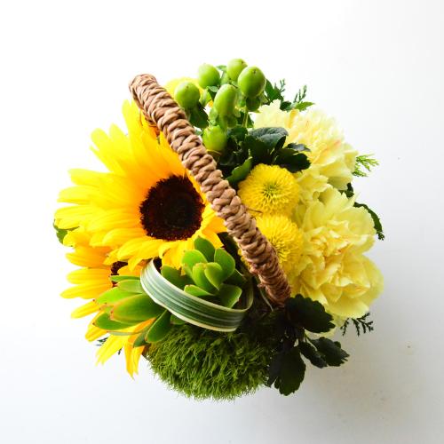�q�}�����@�o�X�P�b�g�A�����W3