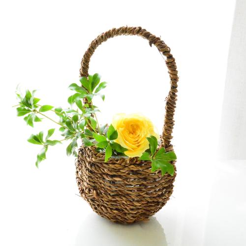 �q�}�����@�o�X�P�b�g�A�����W4