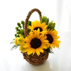 �q�}�����@�o�X�P�b�g�A�����W
