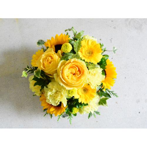 �q�}�����̓������C�G���[�A�����W2
