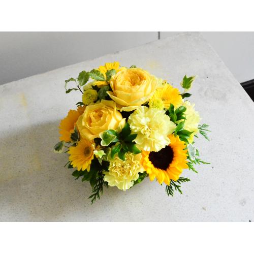 �q�}�����̓������C�G���[�A�����W3