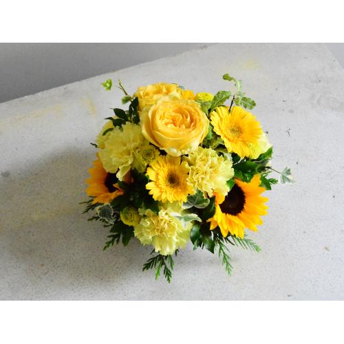 �q�}�����̓������C�G���[�A�����W4