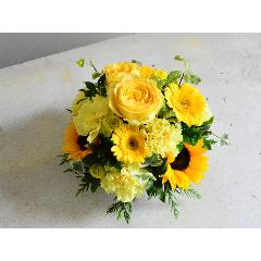 �q�}�����̓������C�G���[�A�����W