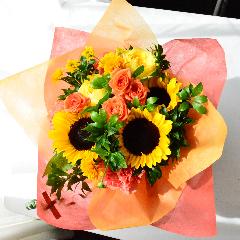 �q�}�����ƃr�r�b�h�J���[�̃u�[�P