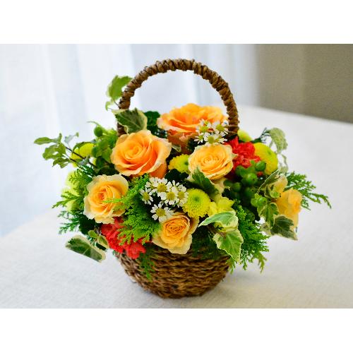 �O���[�������ς��̃i�`�������o�X�P�b�g�A�����W