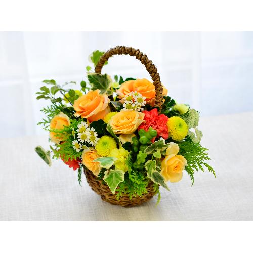�O���[�������ς��̃i�`�������o�X�P�b�g�A�����W3
