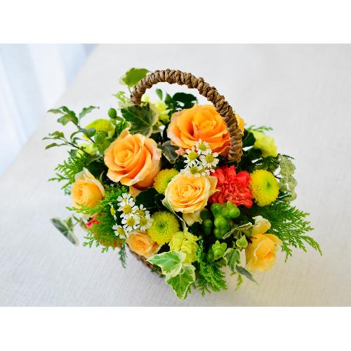 �O���[�������ς��̃i�`�������o�X�P�b�g�A�����W4