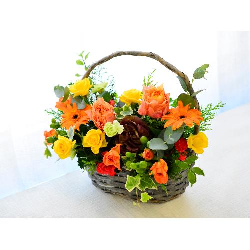 ����悤�ȃo�X�P�b�g�A�����W�y���I�����W�z3