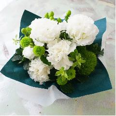 ���b�s���O�A�����W�@���O���[���n�r�r�b�h�^�C�v