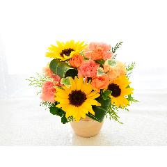 �q�}�������C���̎O�����A�����W