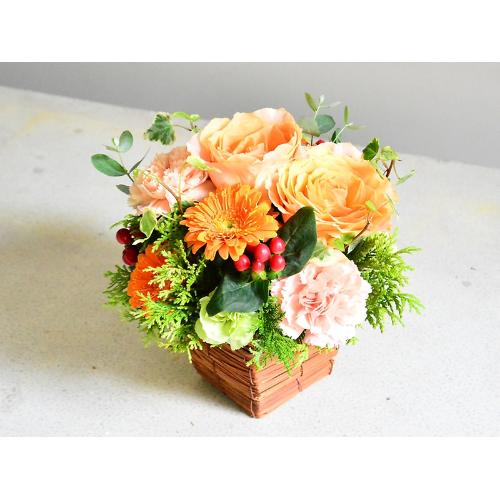 �I�����W���O���[���̃A�����W�����g
