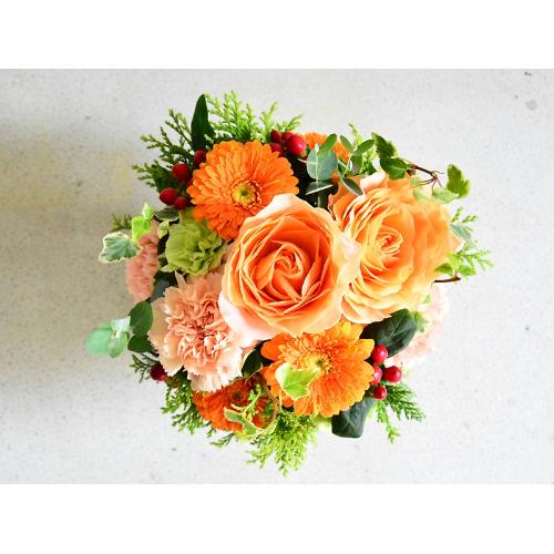 �I�����W���O���[���̃A�����W�����g2