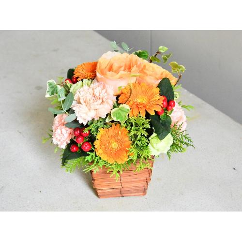 �I�����W���O���[���̃A�����W�����g3