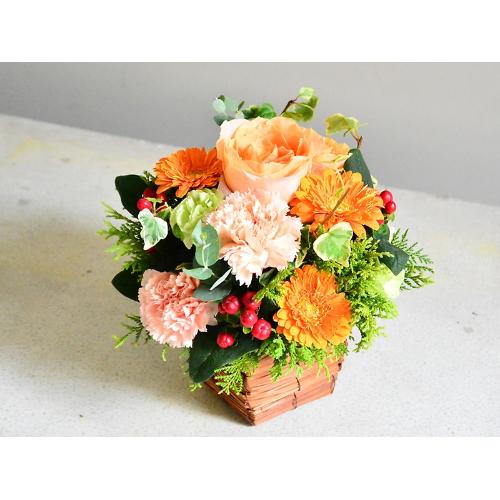 �I�����W���O���[���̃A�����W�����g4
