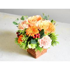 �I�����W���O���[���̃A�����W�����g