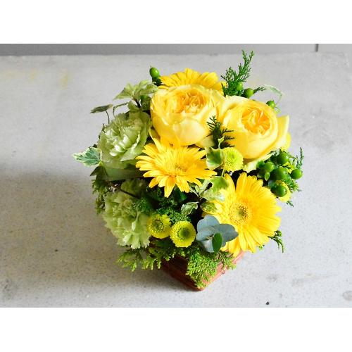 �������C�G���[�ƃO���[���̂���₩�A�����W