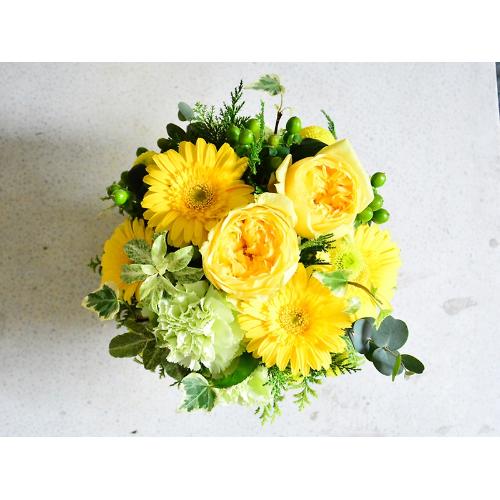 �������C�G���[�ƃO���[���̂���₩�A�����W2