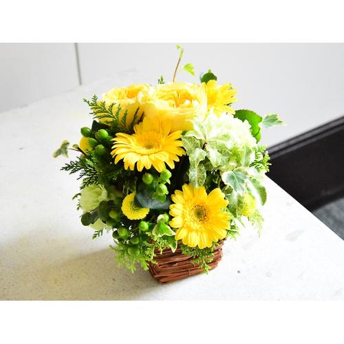 �������C�G���[�ƃO���[���̂���₩�A�����W4