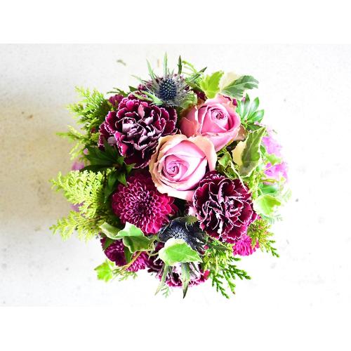 �l�C�̃p�[�v�����E���h�A�����W2