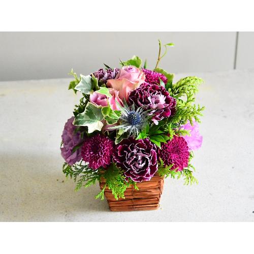 �l�C�̃p�[�v�����E���h�A�����W4