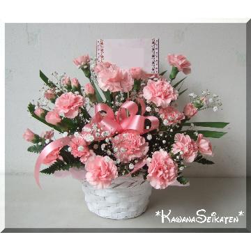 �X�^�b�t�摜