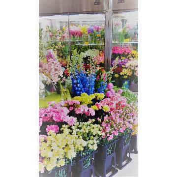 �X�܊O�ω摜