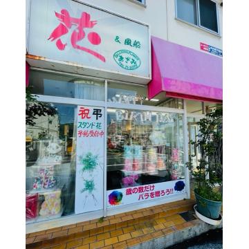 �X�^�b�t�摜