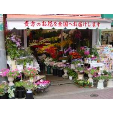 �X�܊O�ω摜