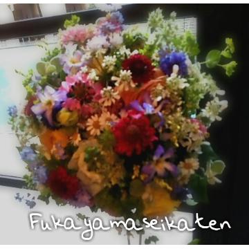 �X�^�b�t�摜