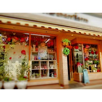 �X�܊O�ω摜