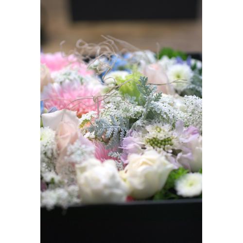 BoxFlower_�uDonizetti�v_�i�{�b�N�X�t�����[�E�h�j�[�b�e�B/�s���N�j2