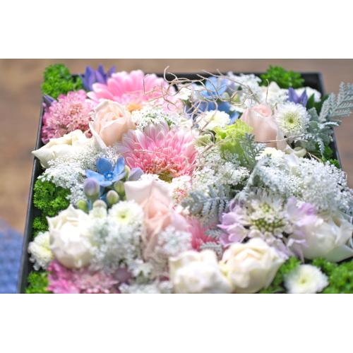 BoxFlower_�uDonizetti�v_�i�{�b�N�X�t�����[�E�h�j�[�b�e�B/�s���N�j3