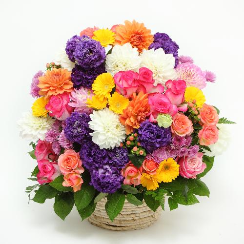 �n�s�l�X�u���C�g  Happyness Bright�I