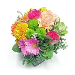 �L�����f�B�[�|�b�v Candy Pop