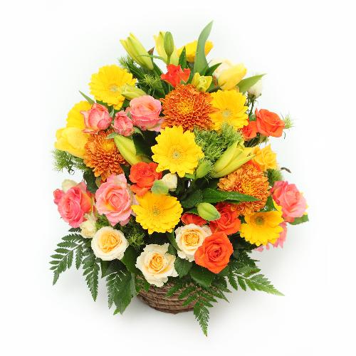 �T�}�[�h���[ Summer Dream�I