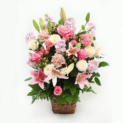 �x���[�����_�t���@Berry Wonderful