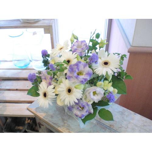 ���z���C�g�@�K�[�x�����聚��+���n�ł��܂�������2