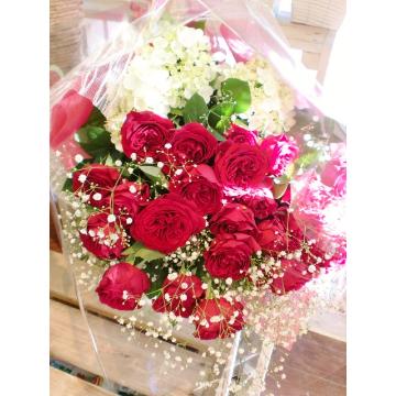 �X�^�b�t�摜