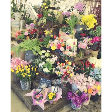 �X�܊O�ω摜