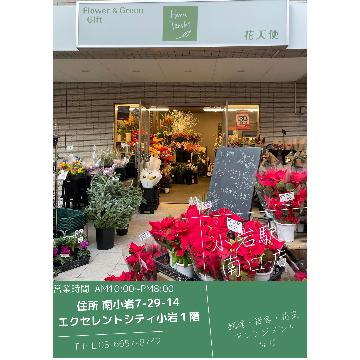 �X�܊O�ω摜