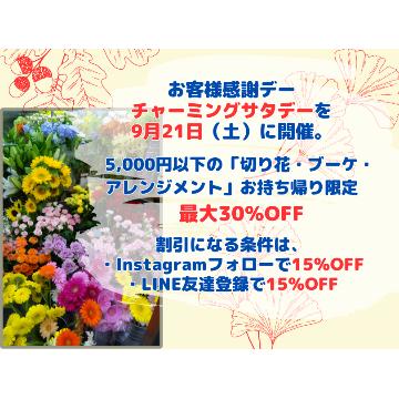 �X�^�b�t�摜