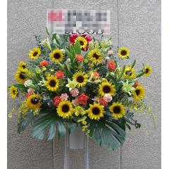 ��j�E�J�X�E���N���a�����E����E���\��ȂǁA���i���X�^���h��