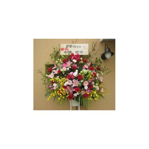 �ԃo���ƃ����̃S�[�W���X�ȃX�^���h�ԁ@