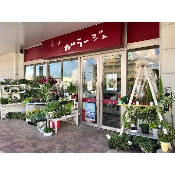 �X�܊O�ω摜