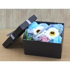 �t���O�����XminiBOX�@Blue