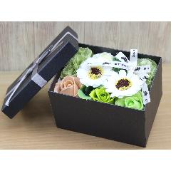 �t���O�����XminiBOX�@Green