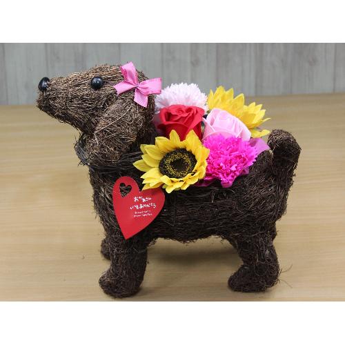 Dog�@�t���O�����X�����G�}�G�R�t�����[2