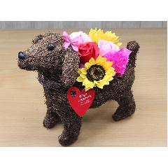 Dog�@�t���O�����X�����G�}�G�R�t�����[